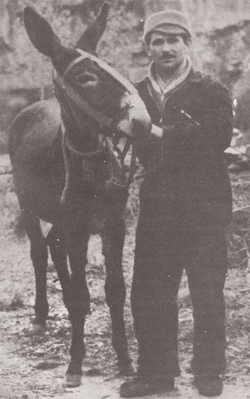 Francisco 1944 mit seinem Muli in den Pyrenäen.