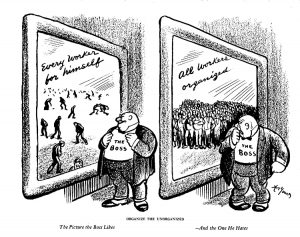 Über die Organisierung