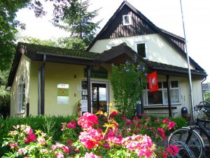 Evolution einer revolutionären Organisation