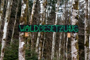 Ökoanarchismus – Schwarz ist das neue Grün