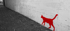 Vom Überrolltwerden und Überwinden