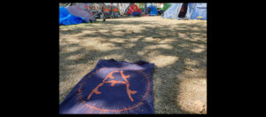 Asyltziale Selbstorganisation