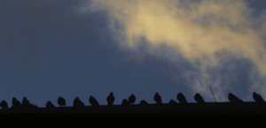 Organisierte Nachbarschaften und die Zukunft der Arbeiterbörsen