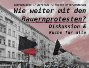 Wie können die Proteste der Bäuerinnen und Bauern solidarisch unterstützt werden?