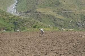 Kollaps – Gewerkschaften – Neuanfänge