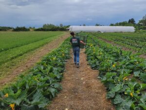 Über 10.000€ für Landarbeiter:innen eingetrieben! IGG gewinnt ersten Arbeitskampf